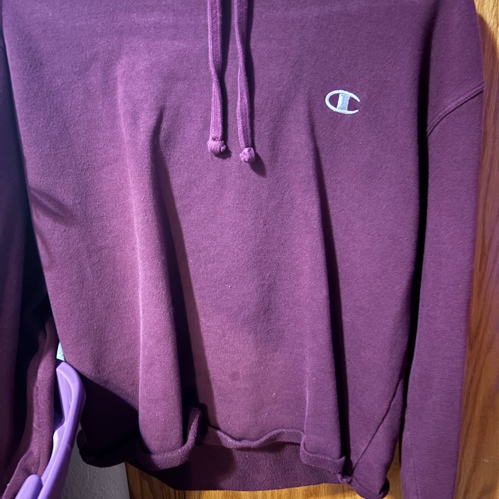 Champion Men's Deep Purple Hoodie